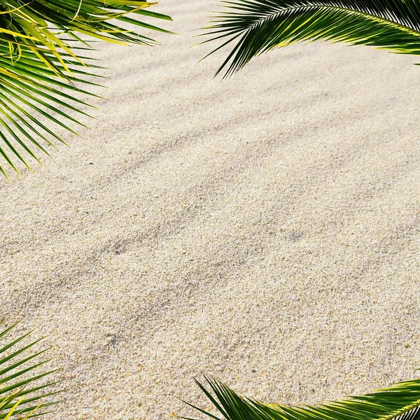 体育彩票棋牌游戏